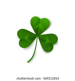 Saint Patrick's Day green three leaf clover with dew drops isolated on white background. Holiday 3d icon. Vector illustration. Spring symbol.