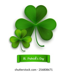 Saint Patricks Day vector greeting card, realistic shamrock leaves isolated on white