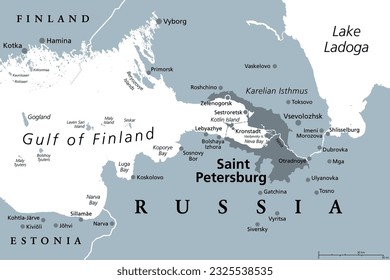 Saint Petersburg area, gray political map. Second-largest city in Russia, formerly known as Petrograd and later Leningrad. Situated on the Neva River, at the head of Gulf of Finland in the Baltic Sea.