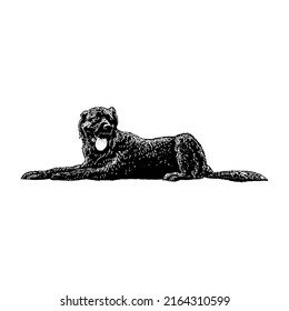 Saint Shepherd hand drawing vector illustration isolated on white background