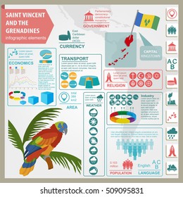 Saint Vincent and the Grenadines infographics, statistical data, sights. Amazona guildingii parrot, national symbol. Vector illustration