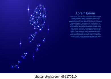 Saint Vincent and Grenadines map of polygonal mosaic lines network, rays and space stars of vector illustration.