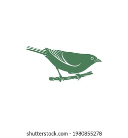 Saira Amarela bird vector illustration. Saira Amarela bird logo design concept template. Creative symbol