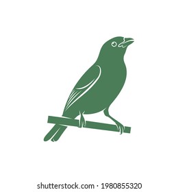 Saira Amarela bird vector illustration. Saira Amarela bird logo design concept template. Creative symbol