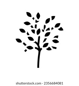 sakaki tree branch shintoism glyph icon vector. sakaki tree branch shintoism sign. isolated symbol illustration