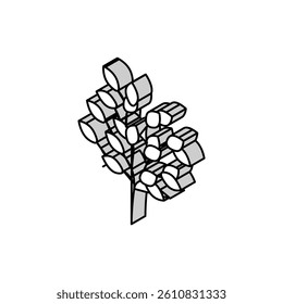 sakaki tree branch shintoism isometric icon vector. sakaki tree branch shintoism sign. isolated symbol illustration