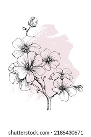 Sakura Abstract Hand Painted Illustrations for Wall Decoration, Postcard, Social Media Banner, Brochure Cover Design Background. Modern Abstract Painting Artwork. Vector Pattern