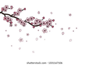 sakura in autumn season background, Vector