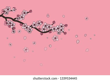 sakura in autumn season background, Vector