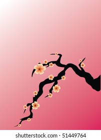sakura background