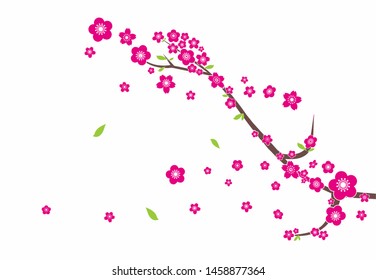 Sakura Background, Cherry Blossom Vector, Sakura Tree, sakura vector isolated on white background