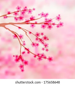 Sakura background with place for text