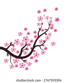 Sakura Beauty flower Vector icon illustration design