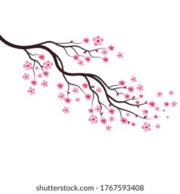 Sakura Beauty flower Vector icon illustration design