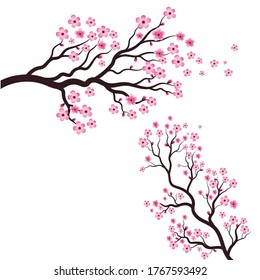 Sakura Beauty flower Vector icon illustration design