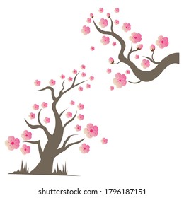 Sakura Beauty flower Vector icon illustration design