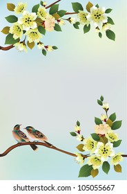 Sakura bird. postcard .
