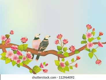 sakura bird. postcard