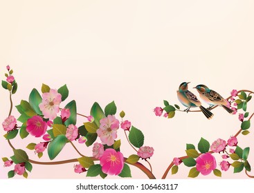 sakura bird. postcard . menu.