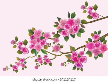 sakura ,bird , spring , postcard