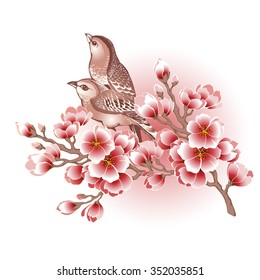 Sakura and birds.Vector illustration