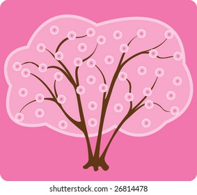 sakura bloom vector