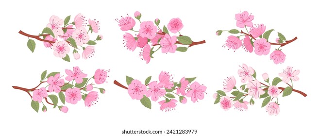 Sakura blooming branches. Spring japanese cherry tree, sakura flowers and buds flat vector illustration set. Traditional asian blooming branch collection