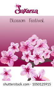 Sakura blooming festival. Sakura branches with pink flowers. An image of the inscription in pink and black letters on a pink and white background. A picture with a Hanami holiday in Japan.