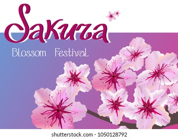 Sakura blooming festival. Sakura branches with pink flowers. An image of the inscription in pink and black letters on a pink-blue and white background. A picture with a Hanami holiday in Japan.