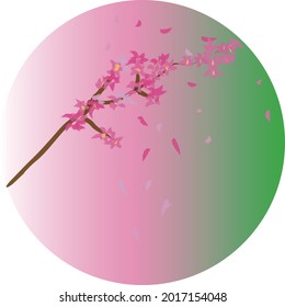 Sakura blooming floral round frame, pink green background, hand painted watercolor painting vector illustration