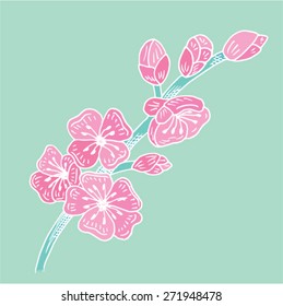 sakura blossom