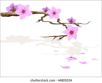 sakura blossom