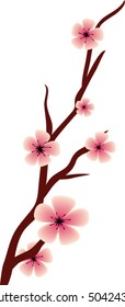 sakura blossom