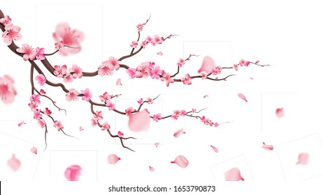 Sakura Blossom Branch. Falling Petals, Flowers. Isolated Flying Realistic Japanese Pink Cherry Or Apricot Floral Elements Fall Down Vector Background