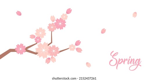 Sakura blossom branch. Falling petals, flowers. Isolated flying japanese pink cherry or apricot floral elements fall down - vector background. Lettering. Spring time. Place for text