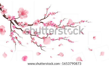 Similar – Image, Stock Photo cherry blossoms Nature