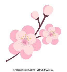 Sakura Blossom Branch Illustration Spring