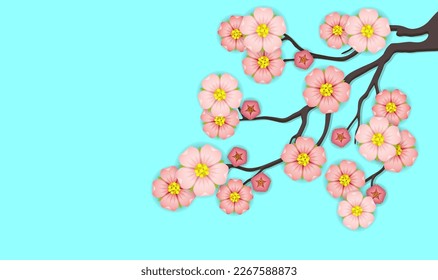 Sakura blossom branch isolated on blue background