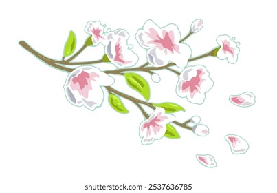 Sakura blossom. Cherry branch with flowers and bud. The petals are falling and fly. Vector color illustration. Isolated on white background.