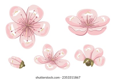 Sakura blossom flower petal isolated set. Vector flat graphic design illustration
