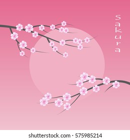 Sakura blossom flowers background. Vector illustration