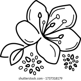 Sakura blossom icon in outlines