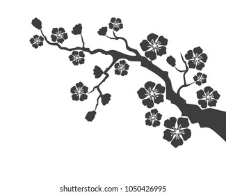 Sakura blossom on white background. Vector Illustration.