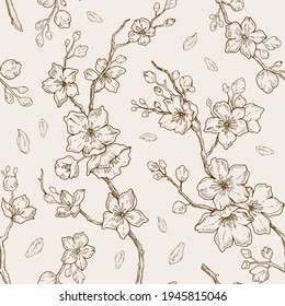 Sakura Blossom Pattern. Cherry Flower Seamless Vector Background. Floral Japanese Or Chinese Black Line Art. Spring Vintage Tree Branch. Sketch Outline Illustration. Hand Drawn Seamless Sakura Pattern