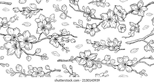 Sakura blossom pattern. Cherry flower seamless vector background. Floral japanese or chinese black line art. Spring vintage tree branch. Sketch outline illustration. Hand drawn seamless sakura pattern