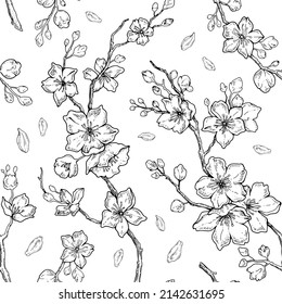 Sakura blossom pattern. Cherry flower seamless vector background. Floral japanese or chinese black line art. Spring vintage tree branch. Sketch outline illustration. Hand drawn seamless sakura pattern