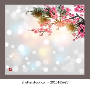 Flor de sakura y rama de pino sobre fondo blanco brillante. Tinta oriental tradicional sumi-e, u-sin, go-hua.  Hieroglífico - felicidad.