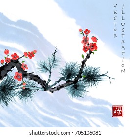 Sakura blossom and pine tree branch in blue sky. Traditional oriental ink painting sumi-e, u-sin, go-hua. Contains hieroglyph - well-being