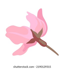 Sakura blossom. Pink flowers. Flat vector illustrations for spring in Asia, nature, blooming