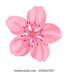 Sakura blossom pink flowers. Flat vector illustrations for spring in Asia, nature, blooming